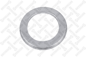 Кольцо уплотнительное SAF SK500 (c 98 г.) (075091)(П3199)