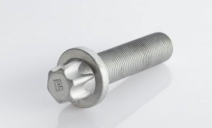 Болт M18x1,5x65 SAF Torx (102286)(р0808)