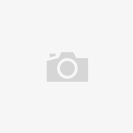 Пневморессора Rostar 4561NP02 (стальн. стакан) (R6606DFS02)(П0032)